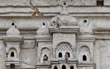 “Pallatet osmane të shpendëve” kanë ruajtur bukurinë e tyre prej…